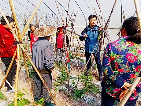 31399金沙娱场城农化老师正在给瓜农们讲解科学种植技术.jpg