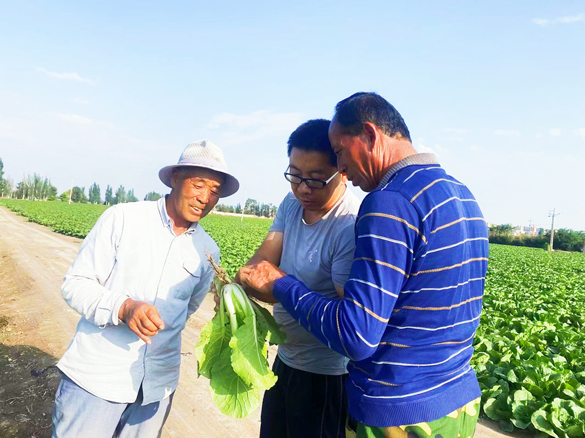 1680000867-赵海文（中）在指导种植户如何管理娃娃菜（5版）.jpg